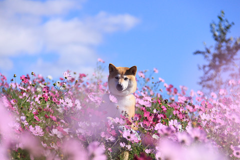 13resize0397.jpg