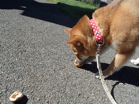 13resize0405.jpg