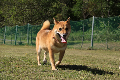 13resize0447.jpg