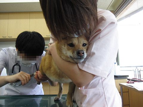 13resize0668.jpg