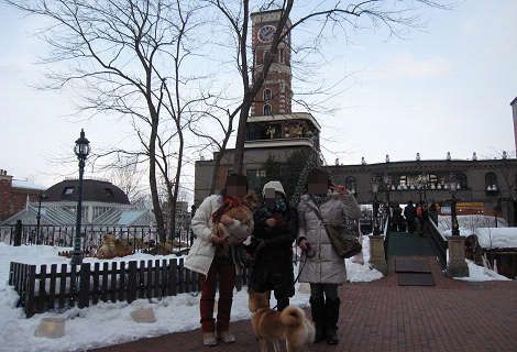 13resize0817.jpg