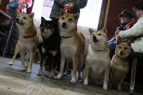 13resize0997.jpg