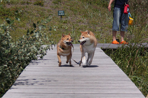 13resize2003.jpg
