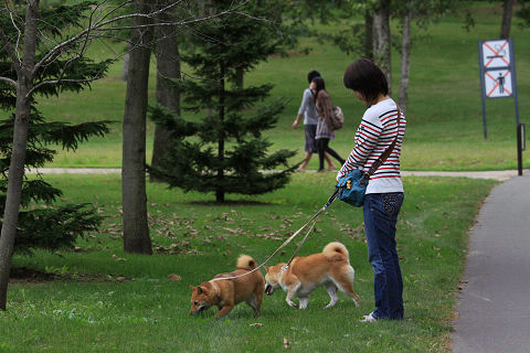 13resize2238.jpg