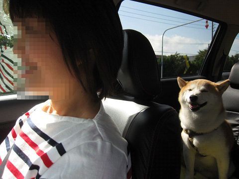 13resize2259.jpg