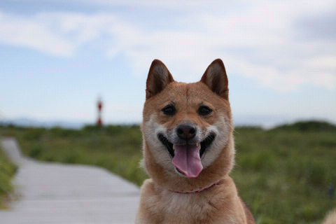 13resize3364.jpg