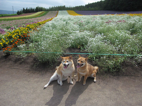 13resize3414.jpg