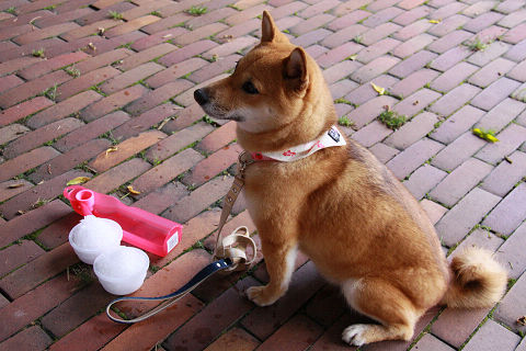 13resize3493.jpg