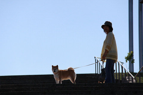 13resize3529.jpg