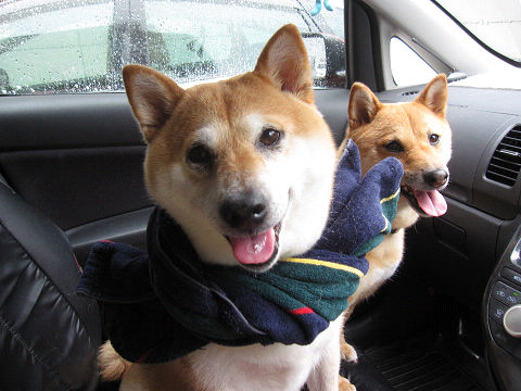 13resize3544.jpg
