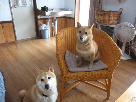 13resize3782.jpg