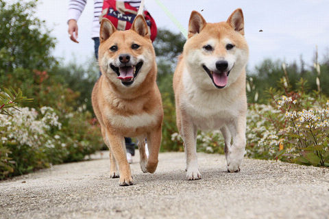 13resize3878.jpg