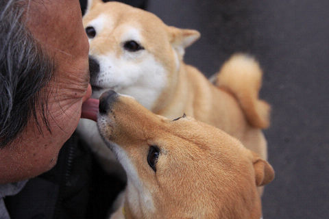 13resize4695.jpg