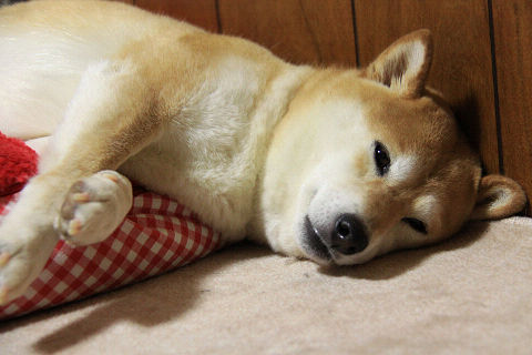 13resize4947.jpg