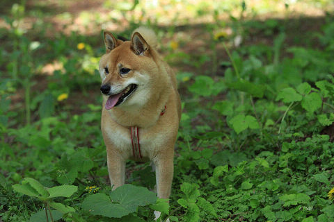 13resize5240.jpg