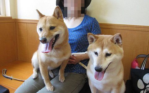 13resize5286.jpg