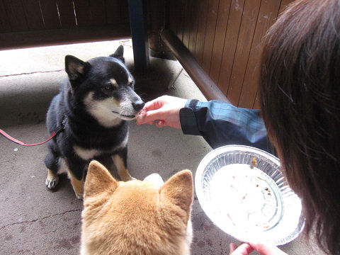 13resize5361.jpg