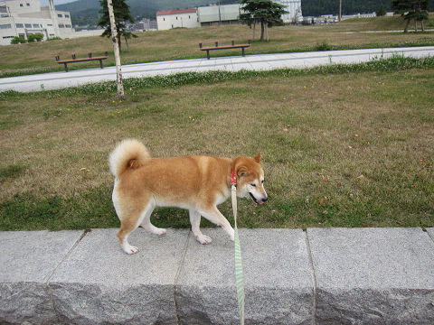 13resize5589.jpg