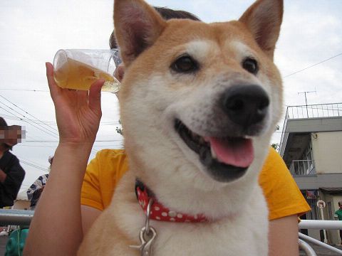 13resize5621.jpg