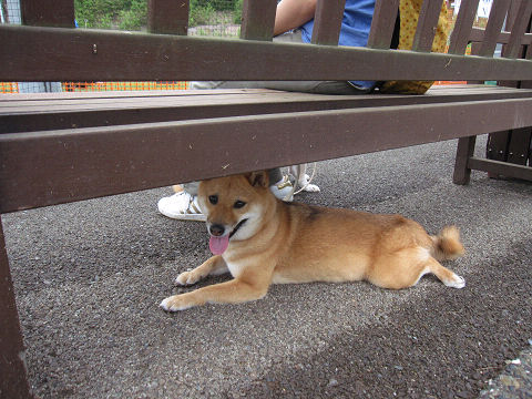 13resize5697.jpg