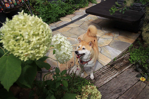 13resize5844.jpg