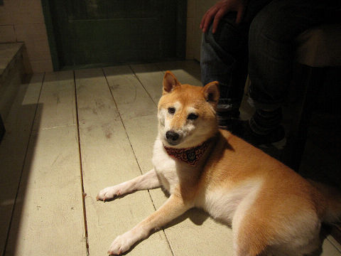 13resize6338.jpg