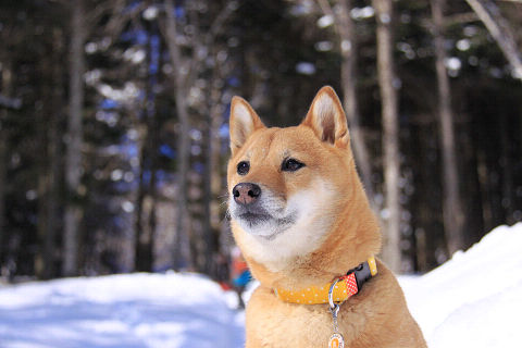 13resize6749.jpg
