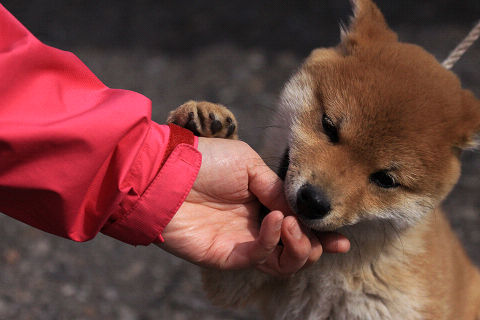 13resize7145.jpg