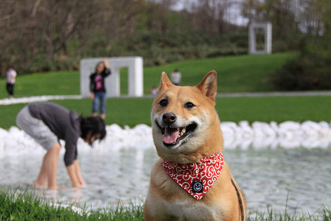 13resize7212.jpg