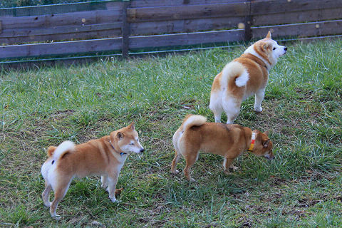 14-2resize6475.jpg