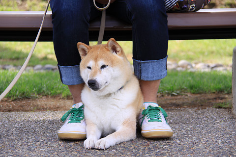 14resize0286.jpg