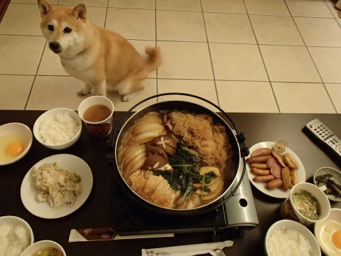 14resize0322.jpg