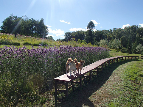 14resize0406.jpg