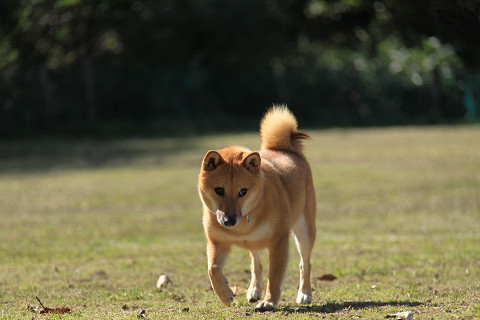 14resize0448.jpg