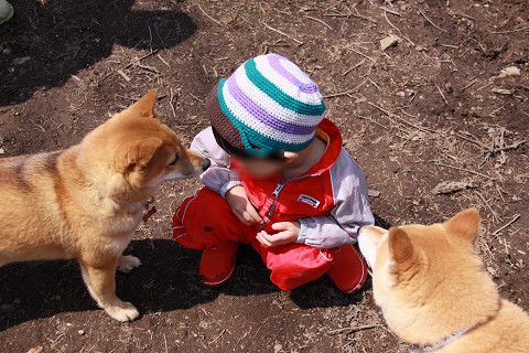 14resize0571.jpg