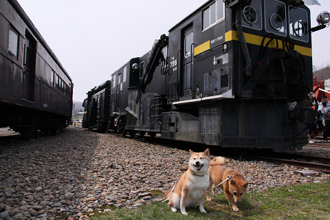 14resize0613.jpg