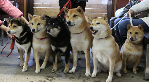 14resize0998.jpg