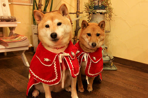 14resize1100.jpg