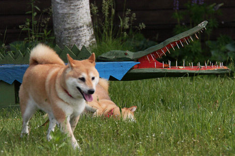 14resize1717.jpg