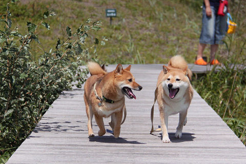 14resize2004.jpg