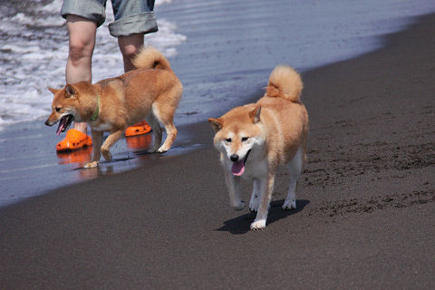 14resize2033.jpg