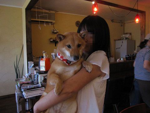 14resize2164.jpg