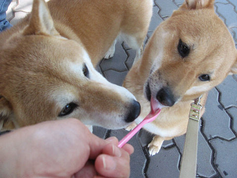 14resize2247.jpg