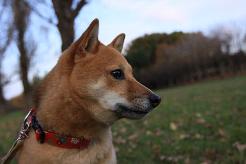 14resize2422.jpg