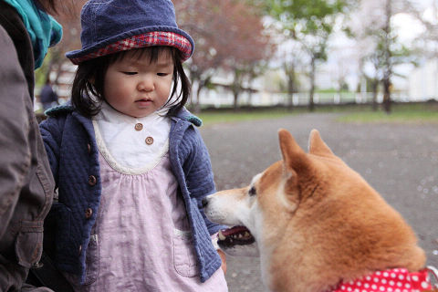 14resize3086.jpg