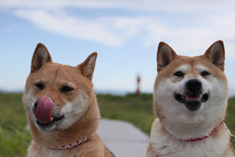 14resize3365.jpg