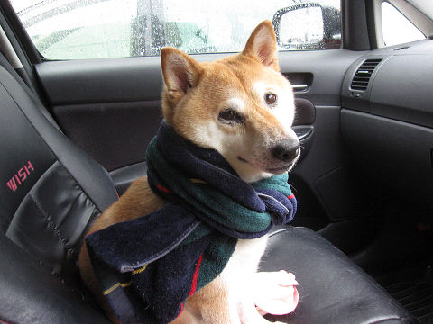 14resize3545.jpg