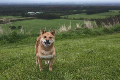 14resize3901.jpg