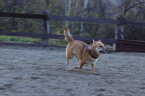 14resize4163.jpg