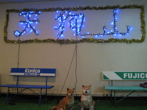 14resize4536.jpg